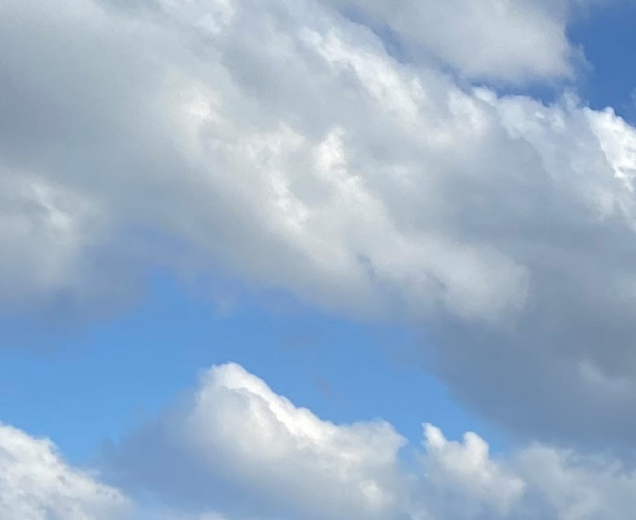 中高层管理能力