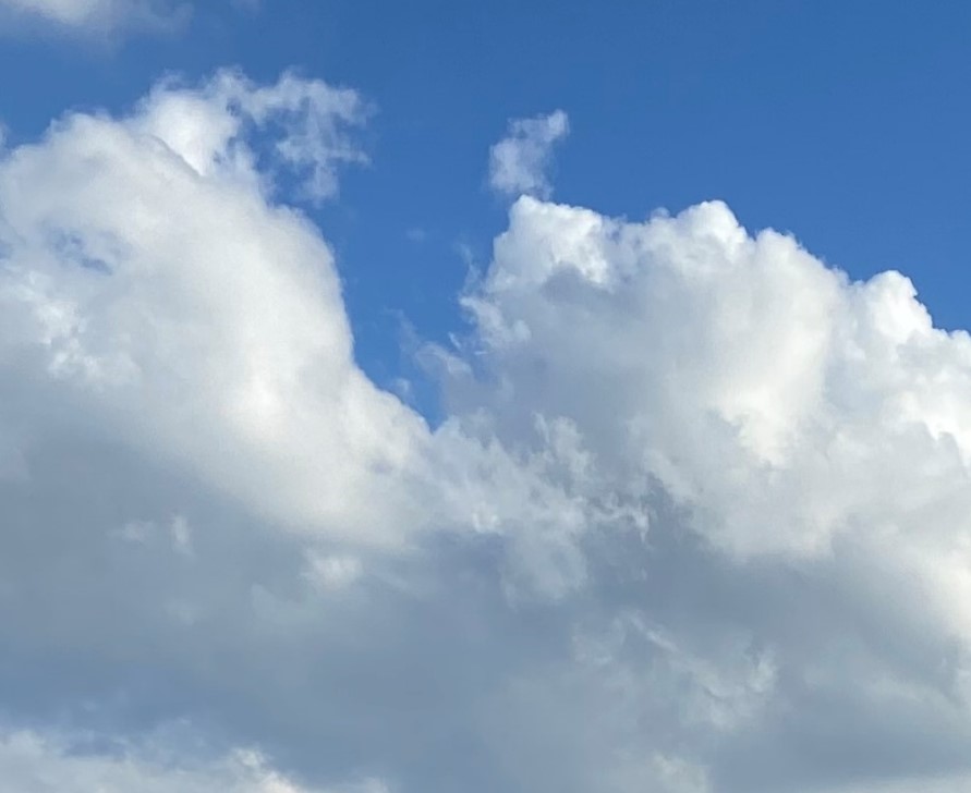 班组长管理能力