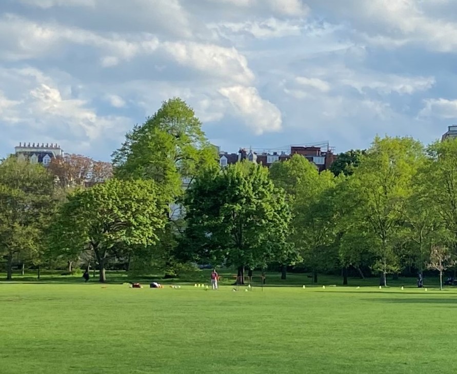 培训培训师（TTT）