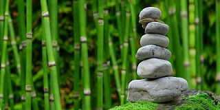 线上“禅意”静心疗愈禅修营