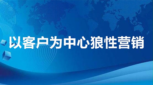 以客户为中心狼性营销