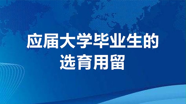 应届大学毕业生的选育用留