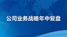 公司业务战略年中复盘