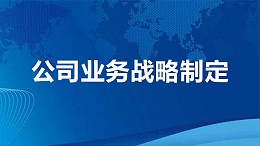 公司业务战略制定