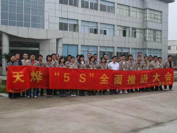 5S6S咨询